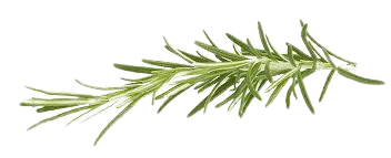 Hair problem solution, Haircareindia, anti dandruff oil, anti hair loss oil, anti hair loss oil